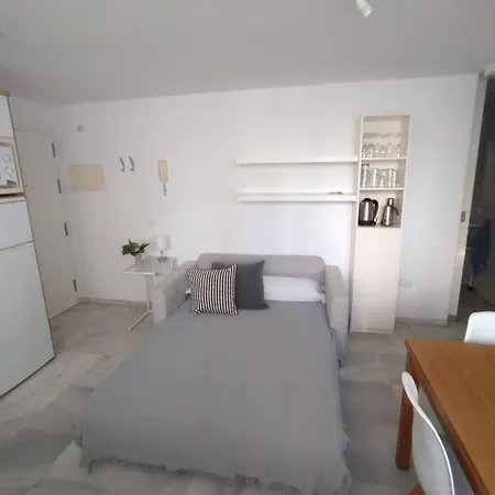 Atico-duplex Palmeras Conil De La Frontera