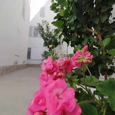 Atico-duplex Palmeras Apartment *
